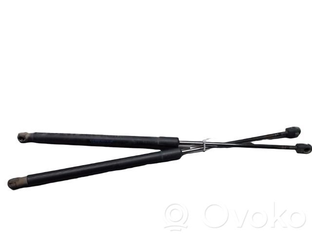 Tailgate/trunk strut/damper   1666068,0384610,051363,1235555,127086,1305482,1429,1514965,1523356,1666068,20150216,2019113,422071,430719111200,509072,51219,51234,560103,5H32402A68AB,66234,777230,8127571,871016249,8724720SX,873165,8A61A406A10AB,8A61A406A10AC,A1689811964,BHE790020,BHE790030,BHE79044,DAFDH004R,GS1281