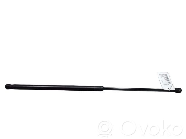 Volkswagen PASSAT B6 Front bonnet/hood damper/strut 