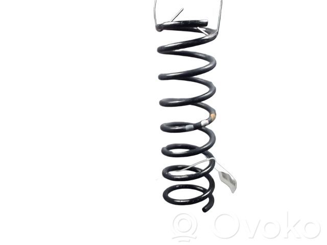 Ford Focus Feder hinten 