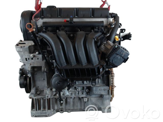 Variklis   135SJ,135SJ,1487797,6FY