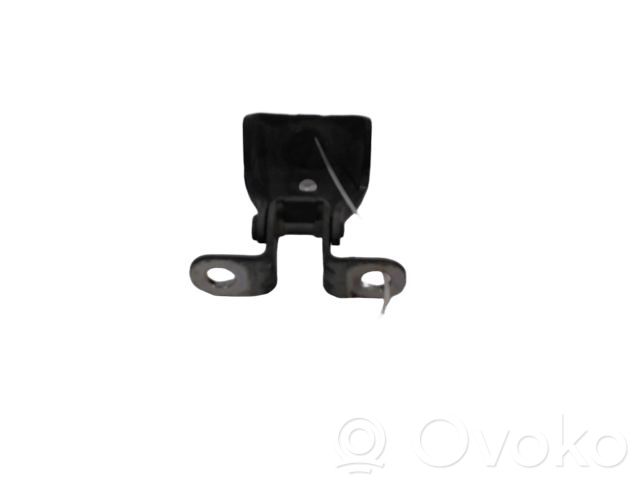 Tailgate/trunk/boot hinge   8613F3,8613F3