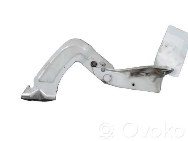Renault Kangoo I Balamale capotă 