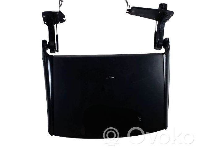 Renault Wind Sunroof set 