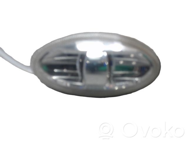 Citroen C-Crosser Seitenblinker 