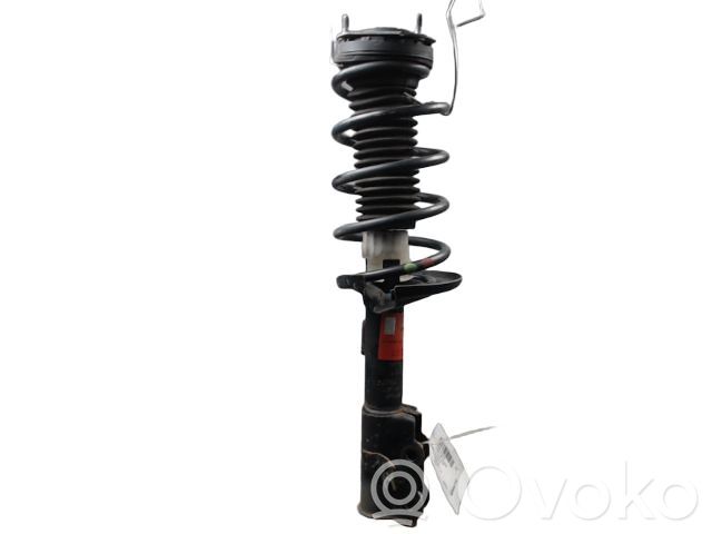 Ford Fiesta Front shock absorber/damper 