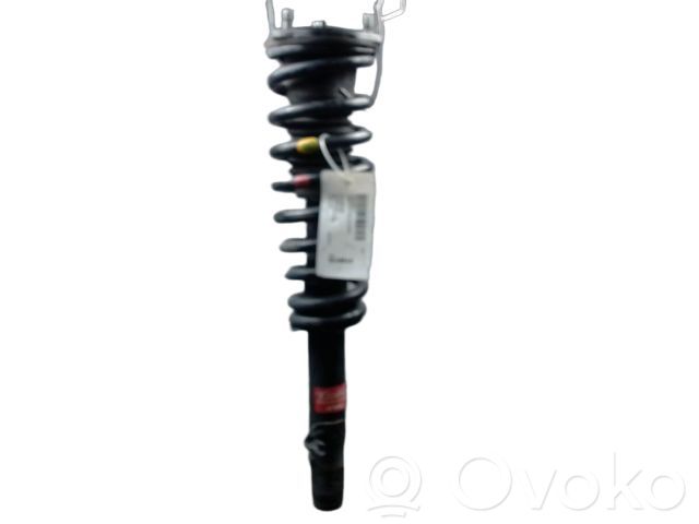 Amortyzator przedni   GS1D34700G,104359,311852,314669,341449,42039457SX,9971578R,G1155,GAM634700A,GAM634700F,GAM634900A,GS1D34700C,GS1D34700D,GS1D34700E,GS1D34700F,GS1D34700G,GS1D34900C,GS1D34900D,GS1D34900E,GS1D34900F,GS1D34900G,GS3L34700B,GS3L34900B,GS4H34700B,GS4H34900B,JAPMM33040,JGS9155T,MA33040,MCD0578R,MJ33040,MM33040,PSA341449,SG2303,SH22062G