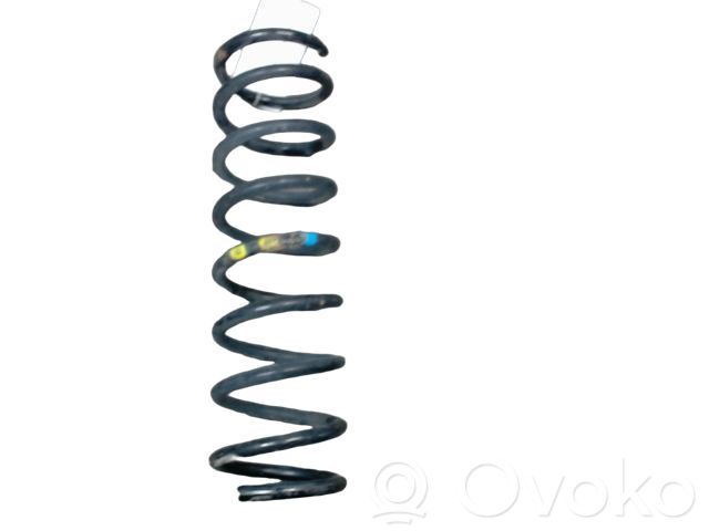 Ford Focus Feder hinten 