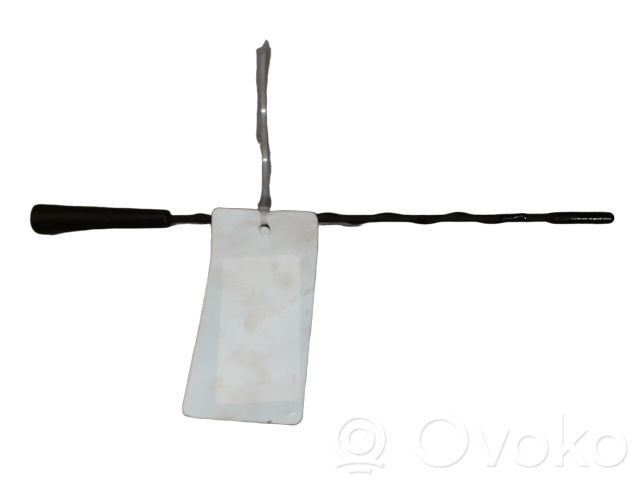 Renault Megane III Radio antenna 