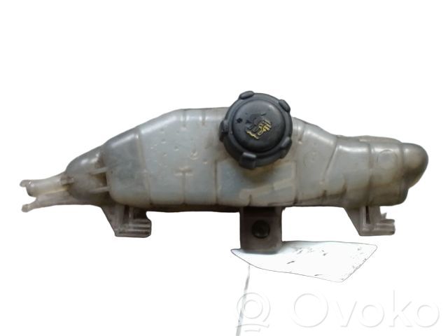 Renault Clio III Zbiornik wyrównawczy chłodziwa 