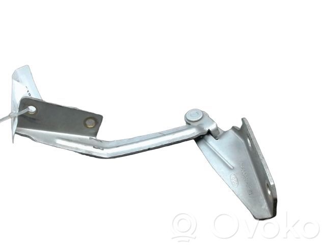 Ford Focus Engine bonnet/hood hinges 