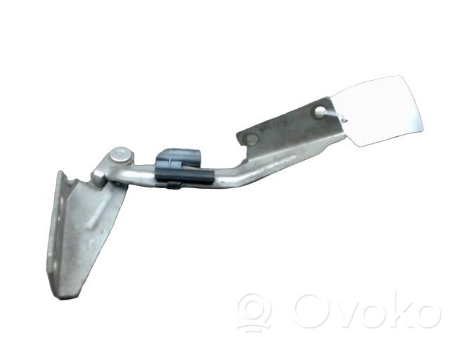 Ford Focus Dzinēja pārsega eņģe (-es) 