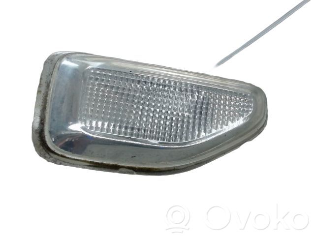 Dacia Sandero II Seitenblinker 