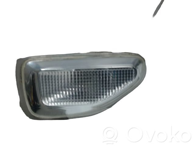 Dacia Sandero II Seitenblinker 