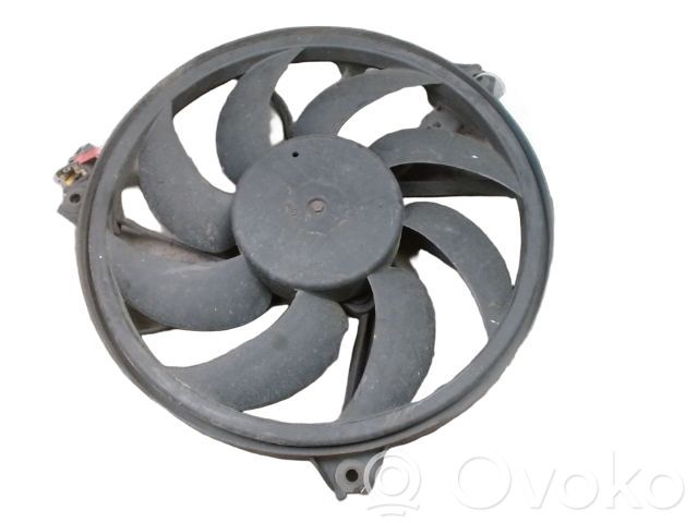 Peugeot 206 Ventilatore di raffreddamento elettrico del radiatore 