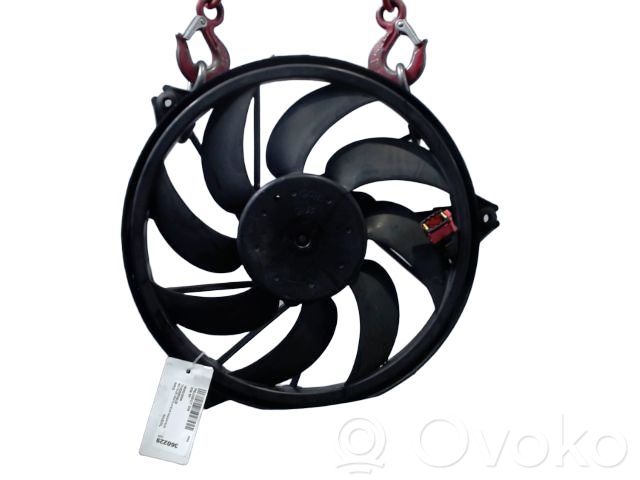 Peugeot 206 Ventilatore di raffreddamento elettrico del radiatore 