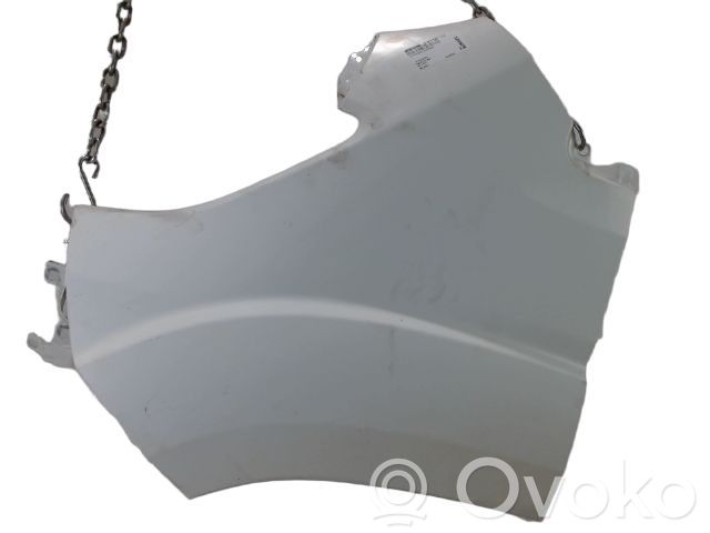 Parafango   1693166880,1693166880