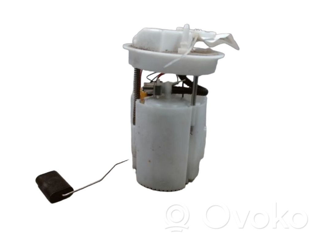 Pompe à carburant   2513934,2513934,LA619H307EA