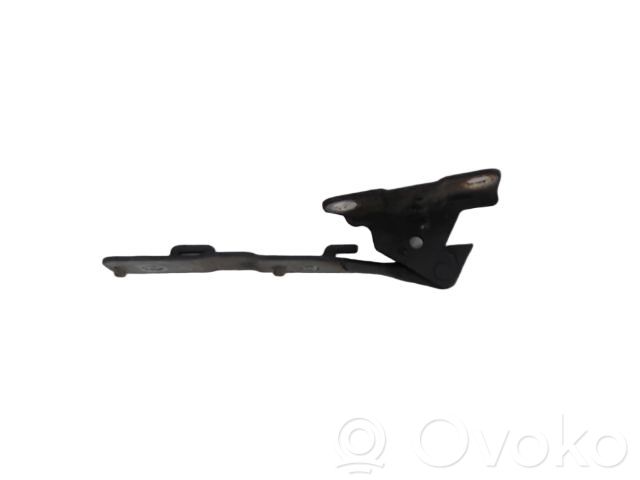 Citroen C5 Cerniere del vano motore/cofano