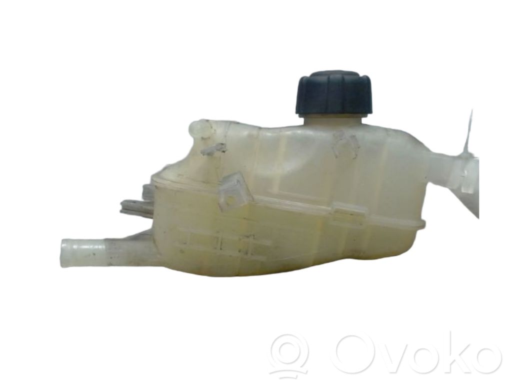 Renault Megane III Ausgleichsbehälter Kühlwasser 