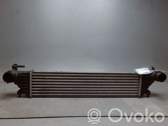 Fiat 500L Radiator intercooler