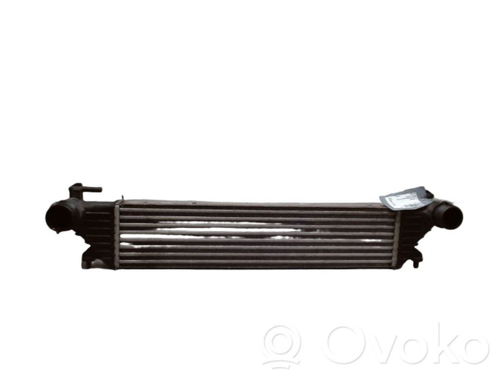 Fiat 500L Radiator intercooler
