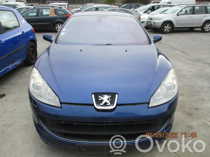 Peugeot 407 Radiatorių panelė 