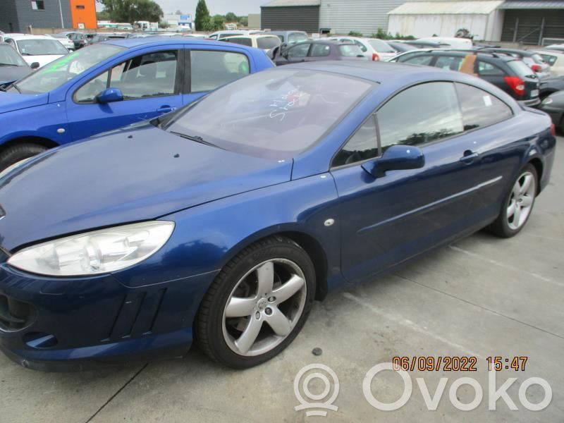 Peugeot 407 Galinės važiuoklės komplektas 