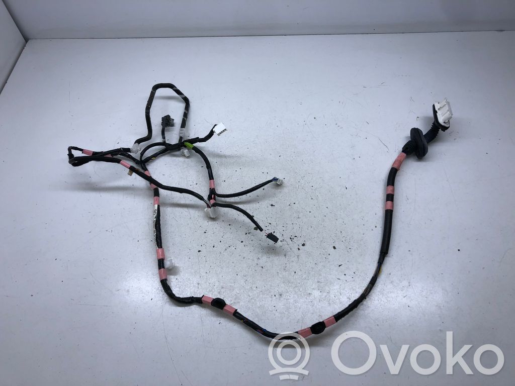 Lexus RX 450H Cableado de puerta trasera 