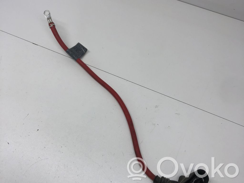 Plusa vads (akumulatora)   6910542