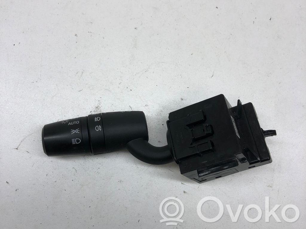 Indicator stalk   17J397