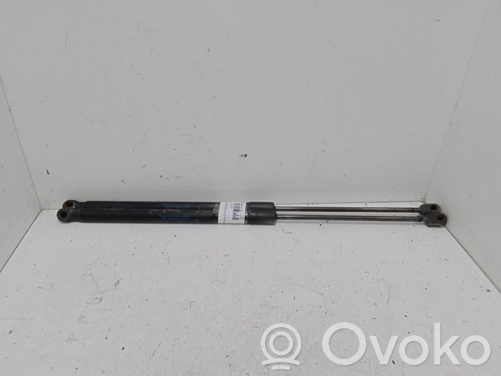 Tailgate/trunk strut/damper