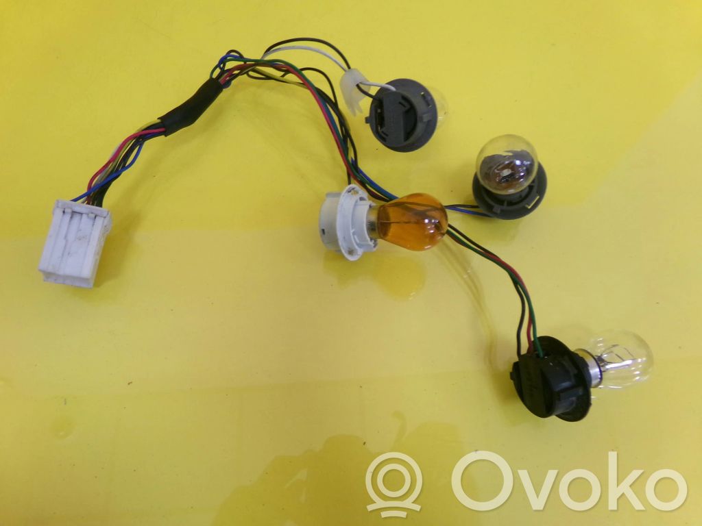 Tail light bulb cover holder