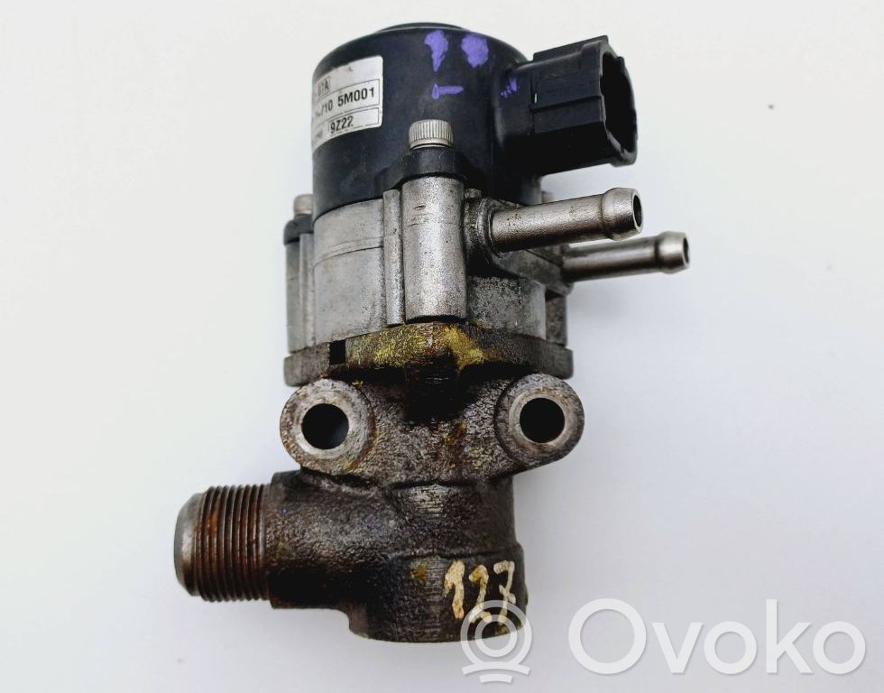 Nissan Almera N16 Válvula EGR 