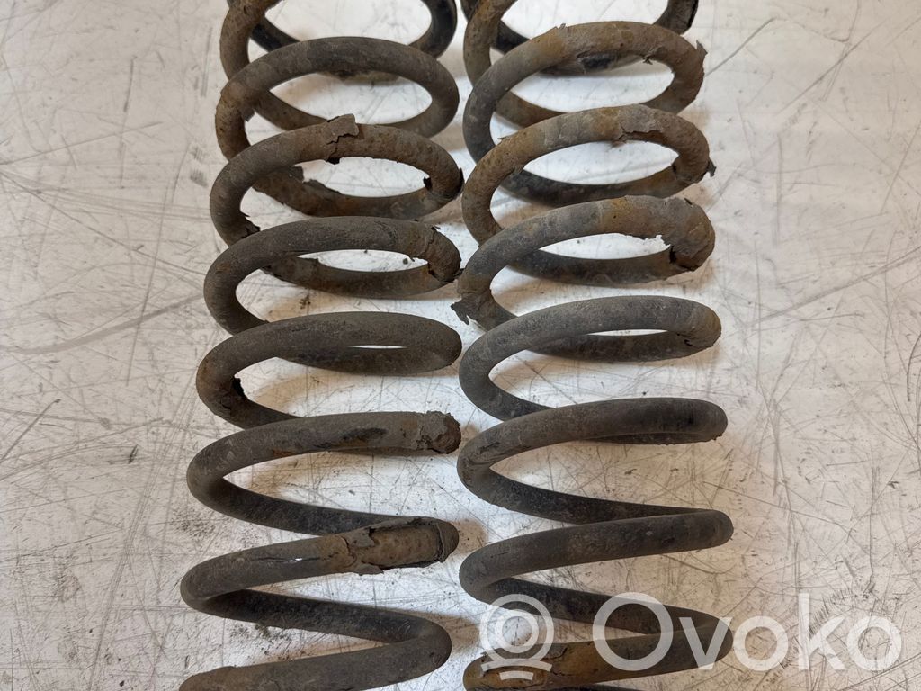 Rear coil spring
