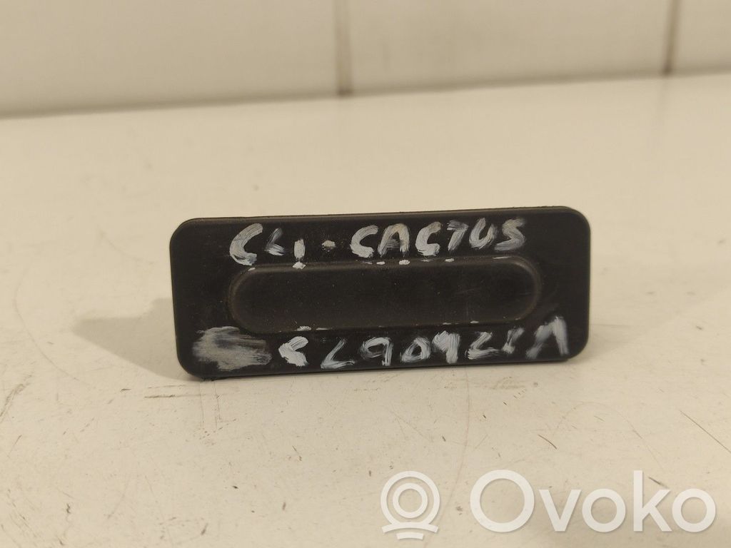 Citroen C4 Grand Picasso Rear door exterior handle 