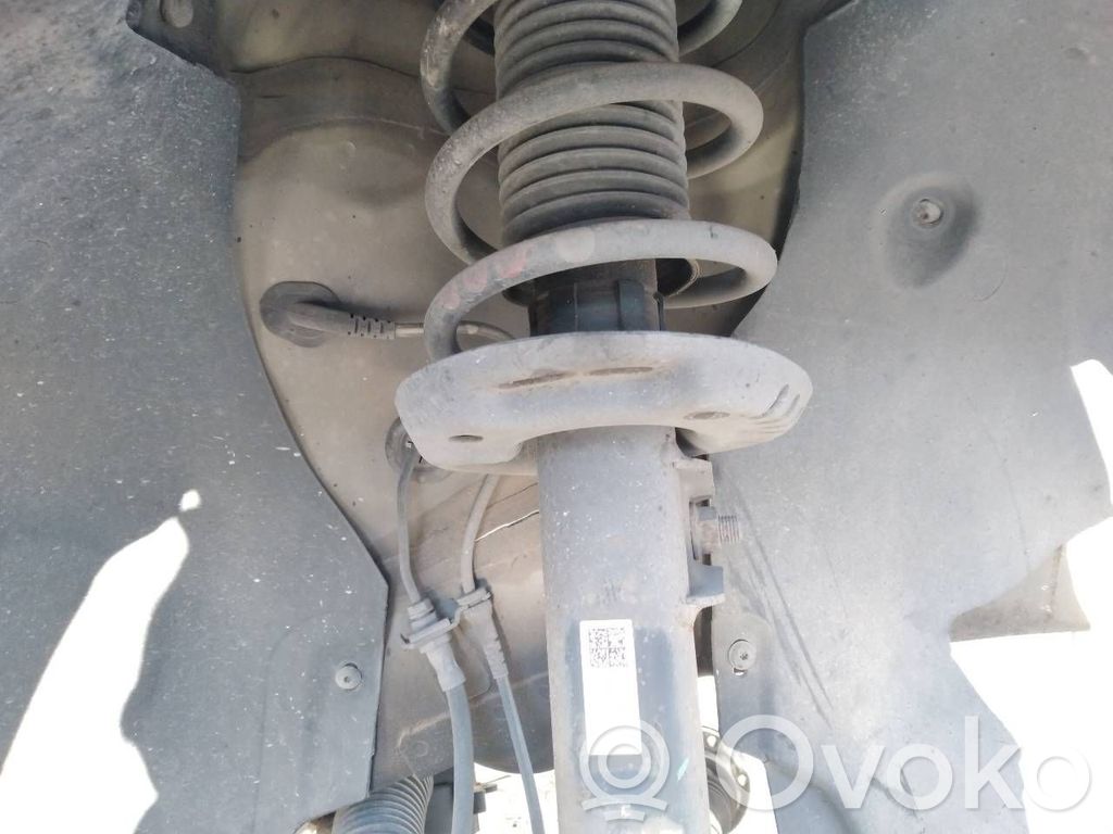 Front shock absorber with coil spring