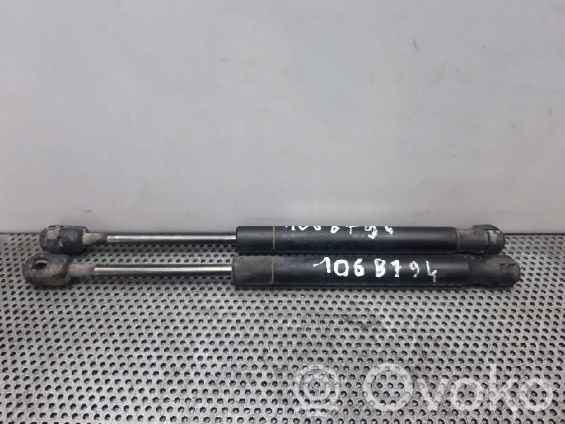 Tailgate/trunk strut/damper