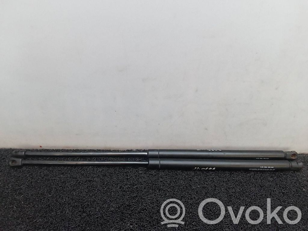 Tailgate/trunk strut/damper