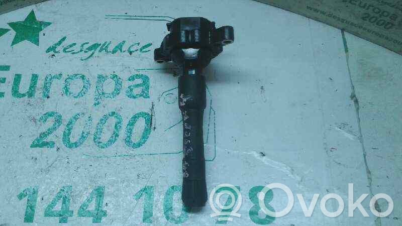 High voltage ignition coil   1748017