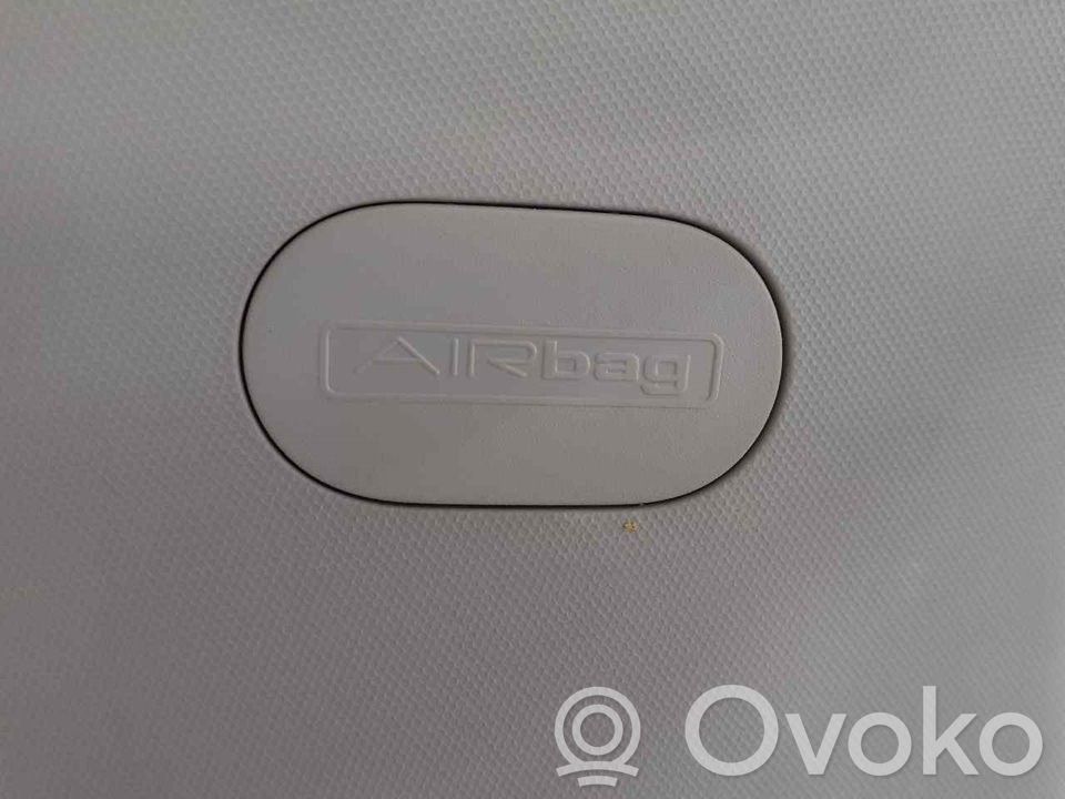 Airbag de la puerta delantera