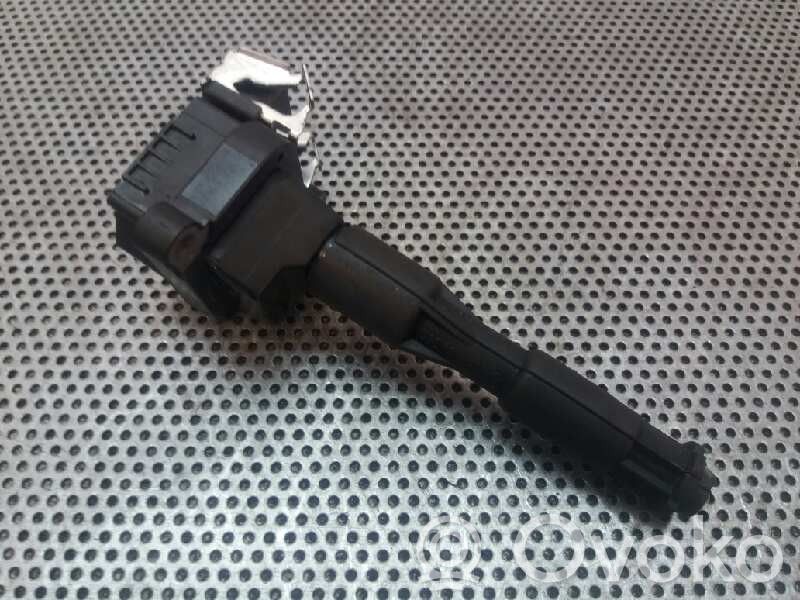Zündspule Zündmodul   0221504004