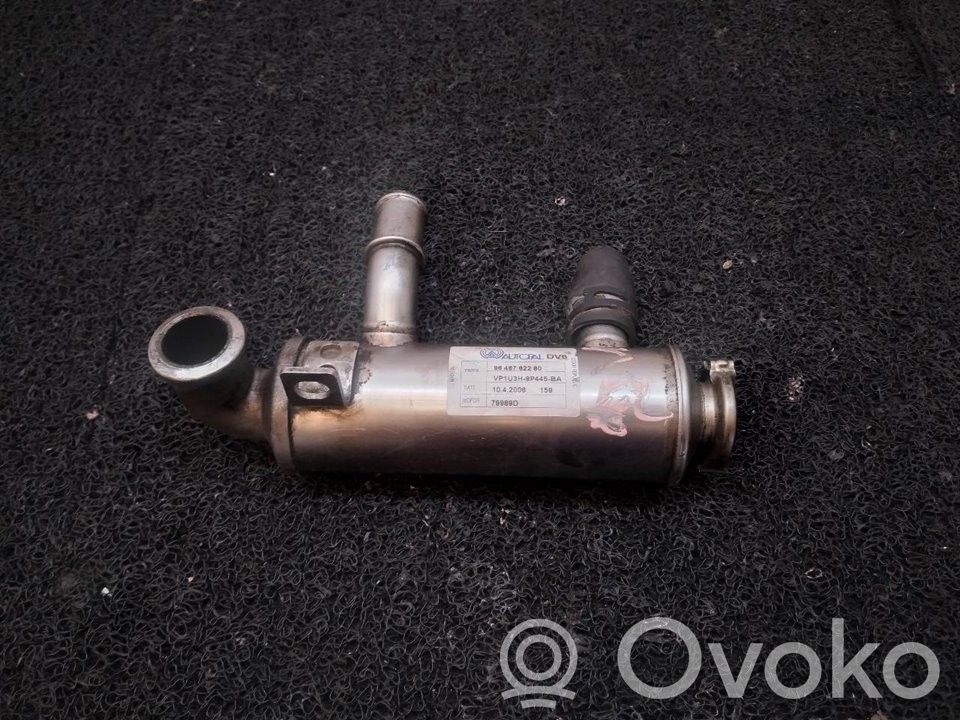 Citroen C5 Răcitor supapă EGR 