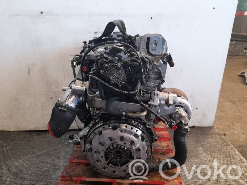 Motor   D5244T