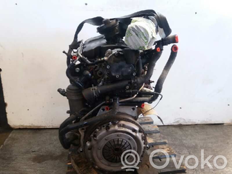Seat Ibiza III (6L) Motor 
