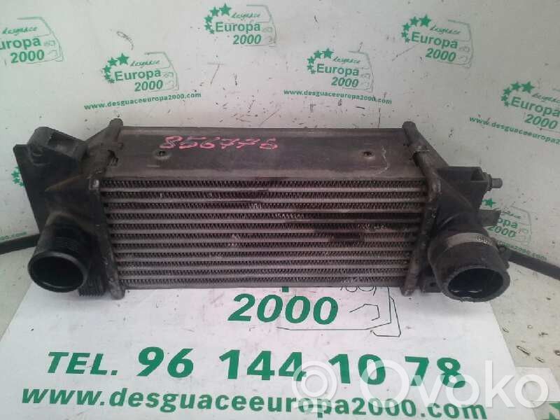 Radiador intercooler