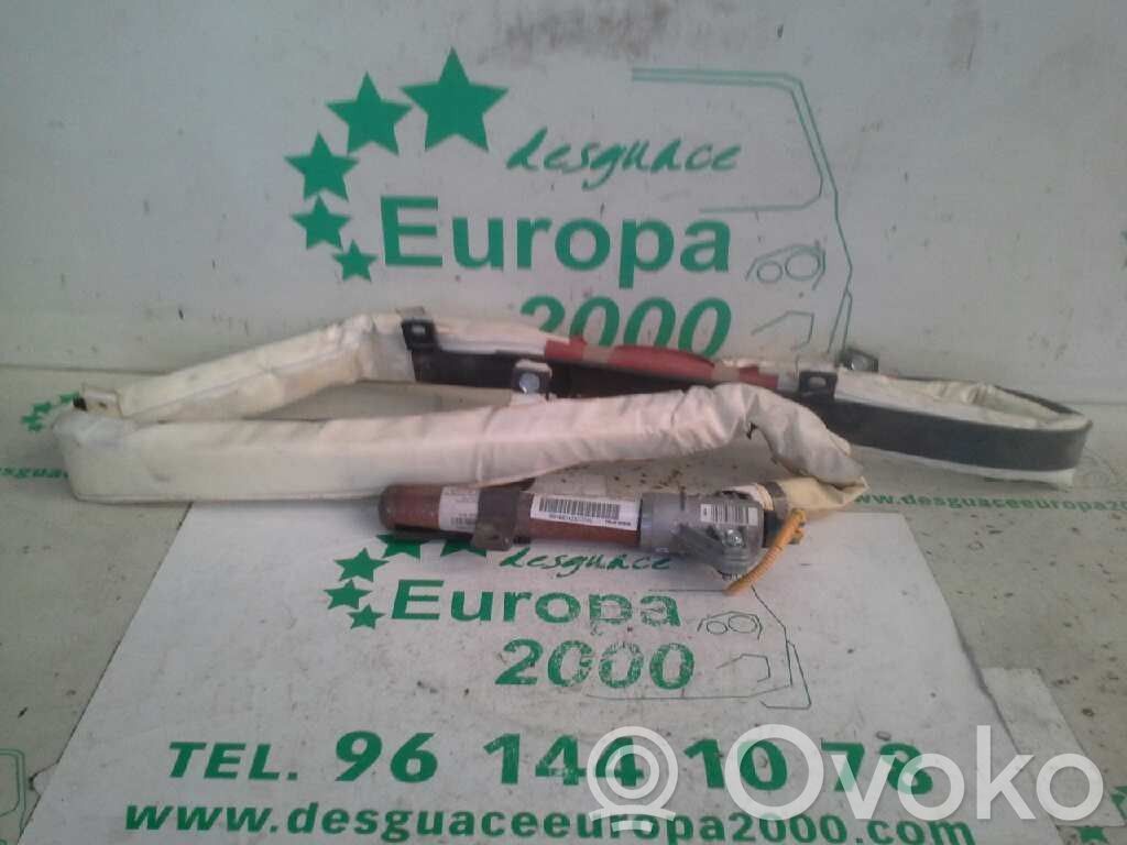 Airbag de la puerta delantera