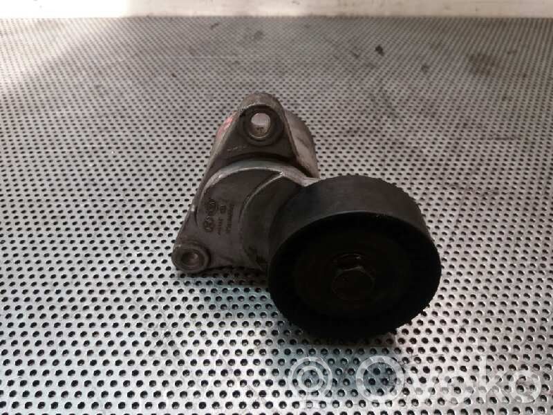 Întinzător curea generator/alternator   2528127