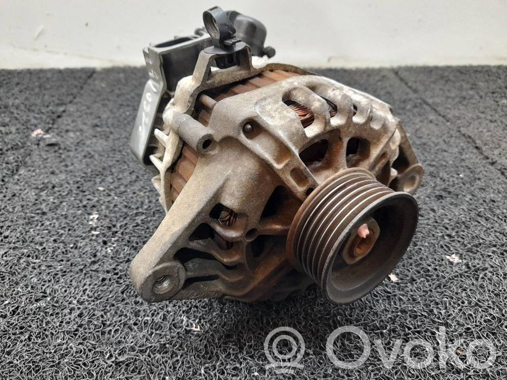 Generatore/alternatore   2655447,373002B101