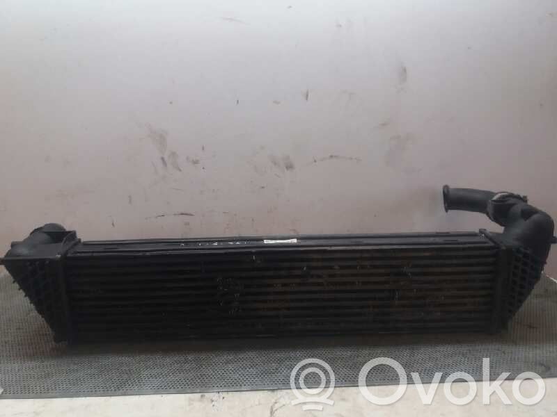 Chłodnica powietrza doładowującego / Intercooler   200292773