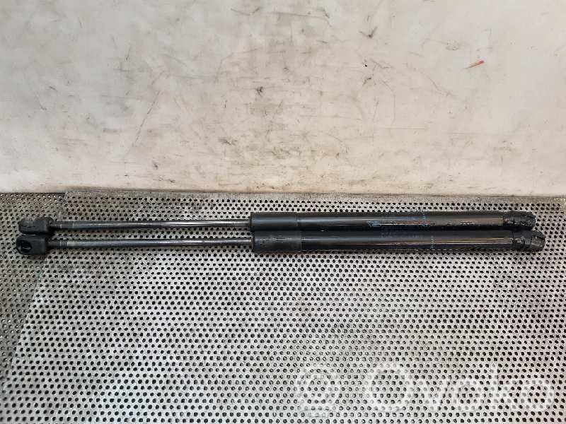 Tailgate/trunk strut/damper